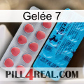 Gelée 7 new14